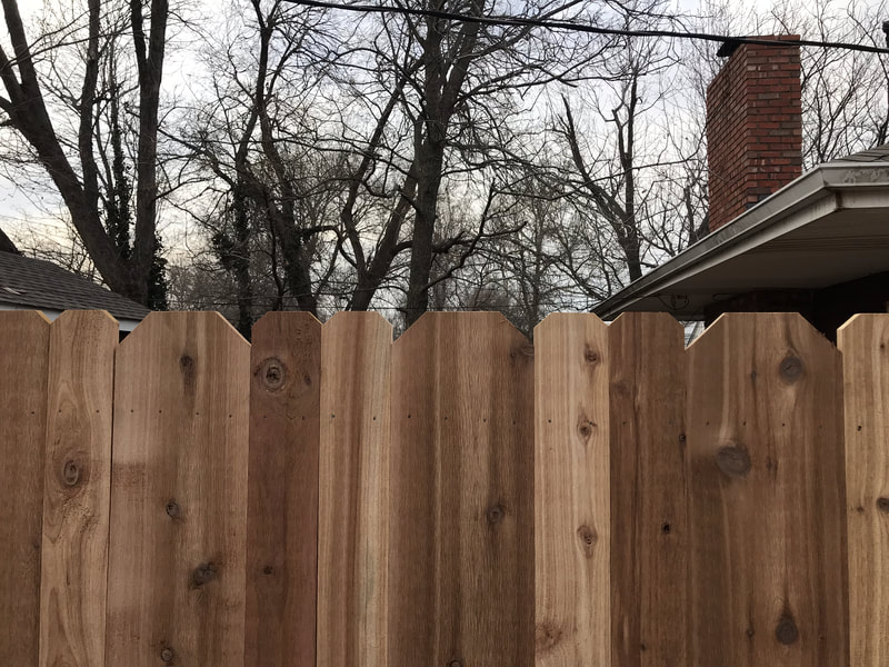 Fence Restorations project photo 32
